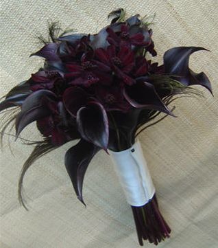 calla lillies peacock