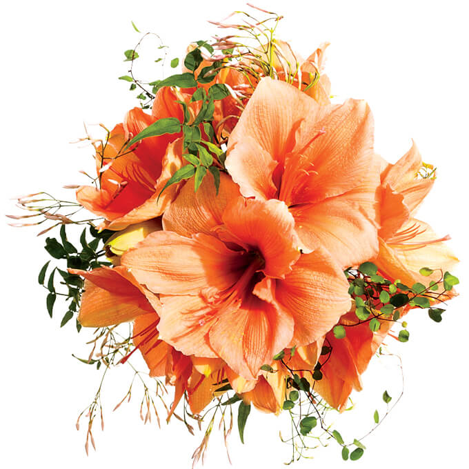 orange bouquet