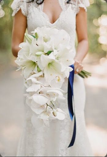 white amaryllis and phalaenopsis orchids