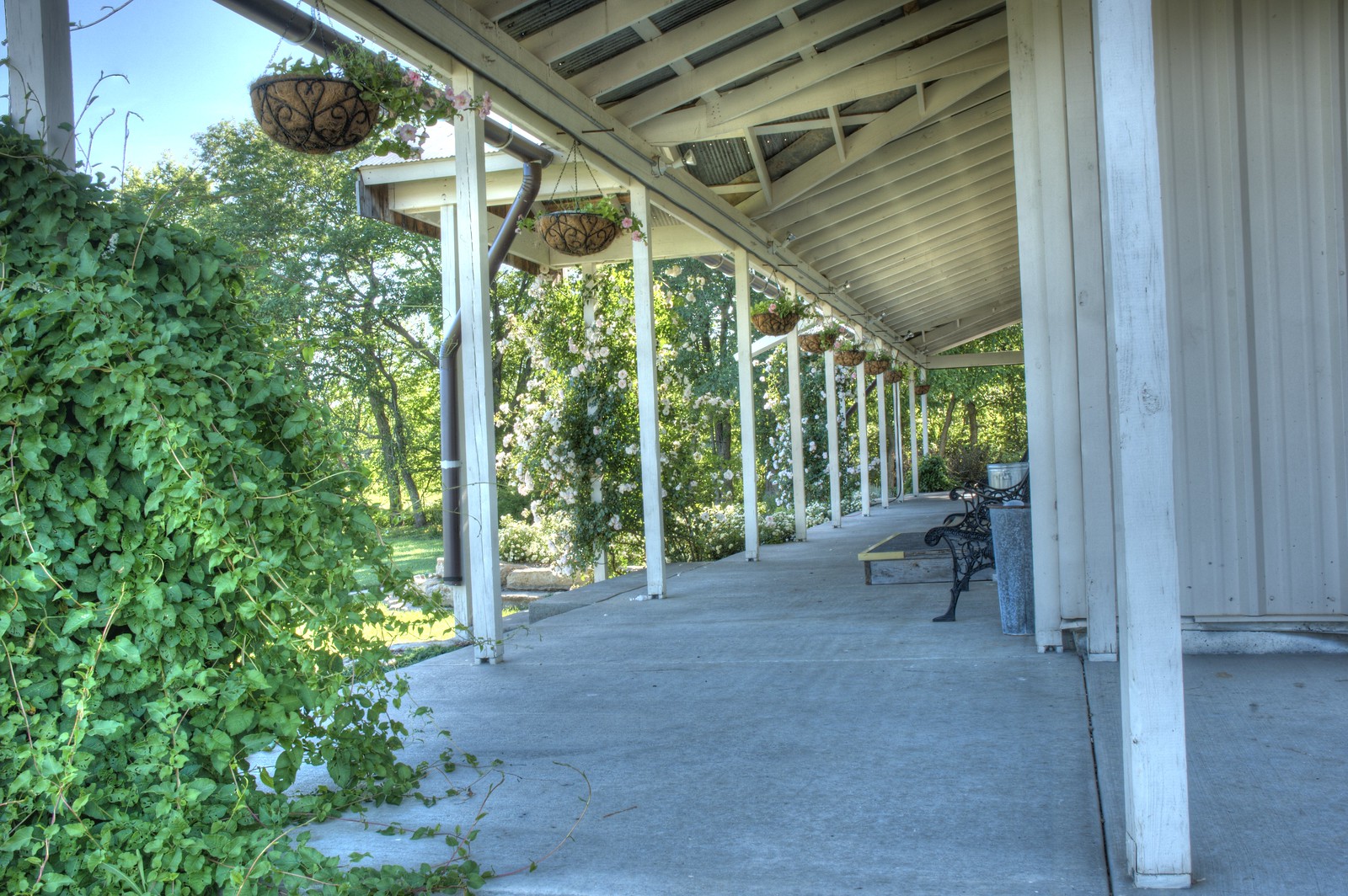 Wedding Venue Outdoor Space